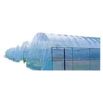 Customized greenhouse film PO drip-free film thickened transparent anti-aging plastic film vegetable planting high light transmittance