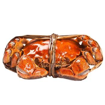 Whole female hairy crabs free shipping with sf express