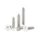 White countersunk head self-tapping screw paint spray white screw