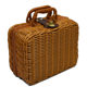 Imitation of Fujida Garden Retro Glue Wicker Picnic Basket Souvenir