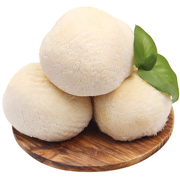 Gutianmei shenshan fresh hericium mushrooms 2 pounds