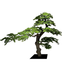 New Chinese style simulated welcoming pine indoor green plant decoration landscaping Podocarpus fake tree teahouse restaurant entrance landscape