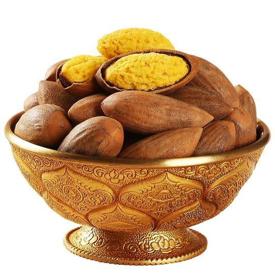 Kai Zhuji Fengqiao torreya