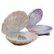 Ins style simple ceramic fish tail shell storage jewelry small ornaments home decoration jewelry tray storage tray bowl