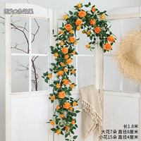 Звездная луна розовая трость апельсина