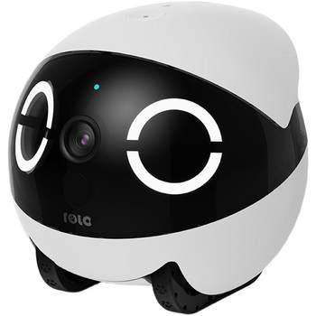 Rola pet mobile companion robot