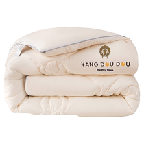 Pure wool quilt winter quilt thickened warm quilt core anti-mite antibacterial quilt cashmere spring and autumn quilt 8 pounds 10 pounds 12