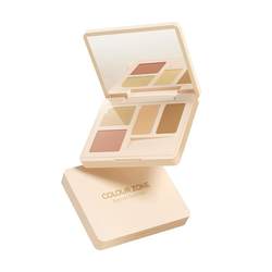 Color Zone Zoned Concealer Palette for Acne Marks and Dark Circles