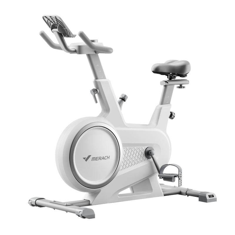Merrick's self-propelled electromechanical bicycle is magnetically controlled and silent