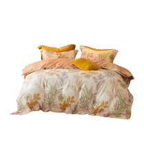 Mercury Home Textiles Brushed Antibacterial Four-piece Comprehensive Set Autumn and Winter Warm Sheets and Quilt Covers Pure Cotton Bedding 24 New Products