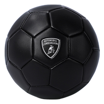 Lamborghini football 45 Nombre de balles correspond à labrasion-preuve de la formation professionnelle des adultes pour les élèves du primaire