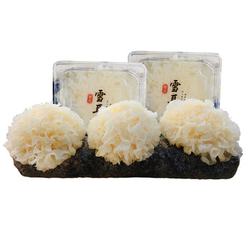 Gutian fresh tremella 6 pieces boxed with sf express free shipping