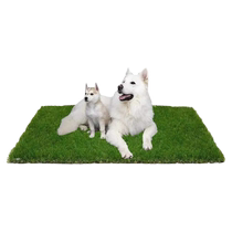 Dog Toilet Fake Lawn Pooch pooch Toilet Divine Instrumental Pet Teddy Dog Special Boaesthetic No Need To Pee Mat