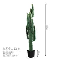 Симуляция серая зеленая сказочная ладонь в стиле