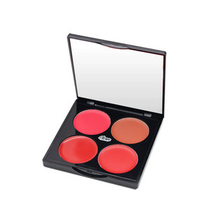 Small golden shield matte velvet four-color lipstick palette