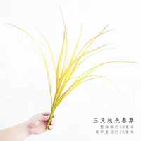 Триган осенний цвет весенняя трава