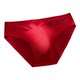 Ice Silk Seamless Sports Travel Quick-Drying Seamless Briefs