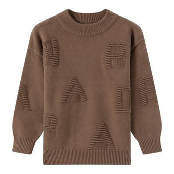 Elephant ham boy's winter sweater