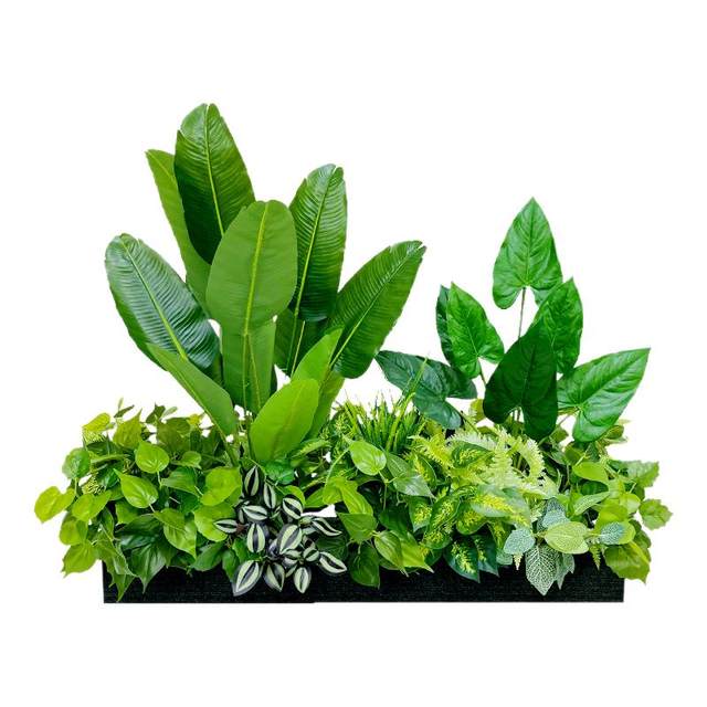 Outdoor flower box layout green ivy leaves decorate grass