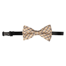 IVY HOUSE Ivy Childrens Wear Boys Plaid Bow Tie Spring Style Childrens Suit Accessories British Fashion