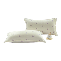 College student dormitory Internet celebrity pillowcases a pair of non-cotton summer adult pillowcases single and double skin-friendly pillowcases