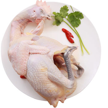 Authentic farm-raised free-range chicken whole and freshly killed