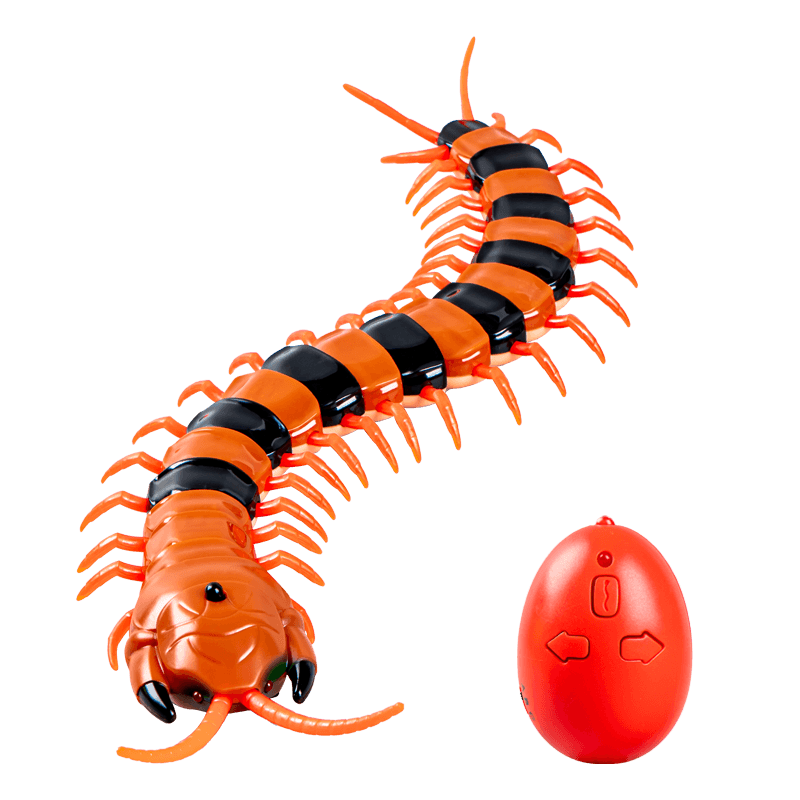 Kinderspielzeug elektrischer Tausendfüßler lustiger Tiktok für Jungen