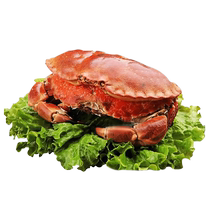 Crab fresh fresh seafood king crab seafood seafood seafood seafood seafood seafood seafood gold crab crab