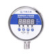 High-precision Liushi Digital Display Pressure Switch Various Pressures