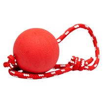 Dog toy ball gold mullabrador toy large small and medium dog resistant to bite solid heart ball training dog supplies