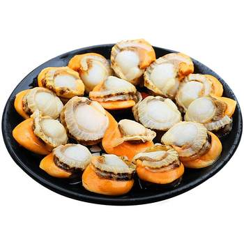 Extra large scallop meat without ice, cream and yellow sf