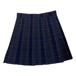 Today's lady high/original authentic JK uniform plaid skirt pleated skirt women's spring and autumn elegant skirt short skirt