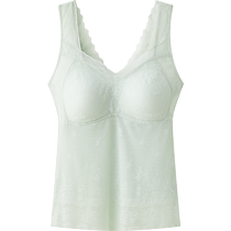 Songshan Cotton Shop Bra Pure Cotton Comfortable Breathable Bottoming Vest Thin Lilac Brain with Coaster Spring and Autumn New Style