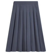 Gray pleated skirt for women spring and autumn new high-waisted slim A-line skirt for small people mid-length suit skirt umbrella skirt