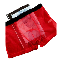 Sous-vêtements pour hommes en soie glacée entièrement transparents boxeurs sexy ultra-fins boxers de couleur unie taille moyenne shorts en maille à la mode