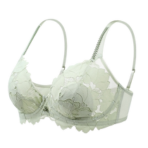 Catman Rabbit Ears Underwear Womens Thin Large Breast Revealing Small Breast Gathering Anti-sagging Seamless Beautiful Back Sleeve Bra