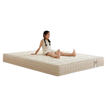 Quanyou Home Childrens Special Jute Mattress Firm Back Mattress 20cm Thick Spring Mat Removable and Washable 117035