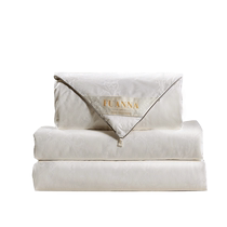 Fuana silk quilt warm winter quilt two-in-one quilt spring and autumn quilt pure cotton quilt core 100 mulberry silk thick quilt
