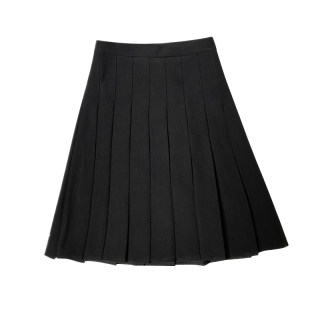Extended pleated skirt for women 2025 autumn and winter skirt