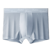 Mens mesh ice silk antibacterial crotch underwear 2024 new style boxer boys seamless breathable loose boxer shorts