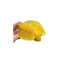 Four-season sweet carambola tree seedlings bayberry carambola yellow peach tree seedlings sweet potted plants valuable fruit trees planted in the south and the north