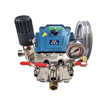 Rongsheng Rs Plunger Pump 600C Type Sprayer High-Pressure 26 Lift Ceramic Grease-Free 70 Sprayer for Car Washing and Water Pumping