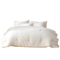 Mercury Home Textiles Class A Antibacterial Silk Quilt 100% Silk Spring and Autumn Quilt Household Quilt Core Bedding 24 Years New Product