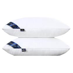 A Pair of Five-Star Hotel down Pillows, Home Pillow Core, Single Student Cervical Spine Protection, Ultra-Soft Feather Velvet Pillow