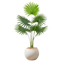 Simulated Green Plant California Palm Sofa Side Indoor Decoration Fake Plant High-End Light Luxury Indoor Large-Scale Artificial Potted Plant