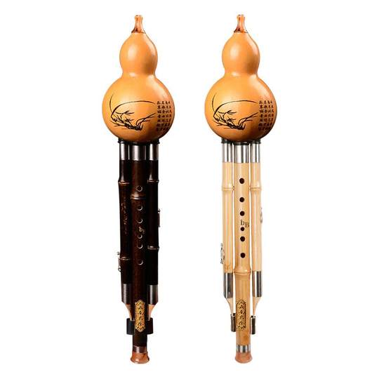 Tang Yin Hulusi Professional Performance Type