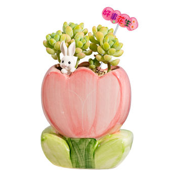 Tulip flower ceramic flower pot succulent pot planting materials