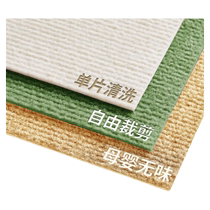 Summer splicing carpet large area fully covered tatami thickened mat living room bedroom no-care non-slip floor mat ly