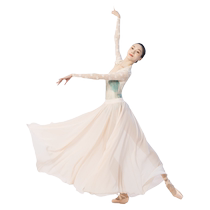 Classical dance costumes chiffon skirts Chinese dance practice costumes performance costumes body suits ballet gauze skirts