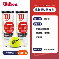 Мячи тренировочные TITANIUM, 2 банки.